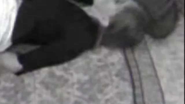 سکس بدون ثبت نام قفسه سینه زیبایی است که دانلود فیلمهای سکسی توپ بسیار علاقه مند به طعم دستی